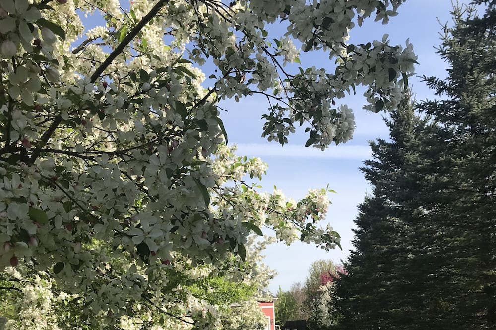 Photo of Outdoor in Williston North