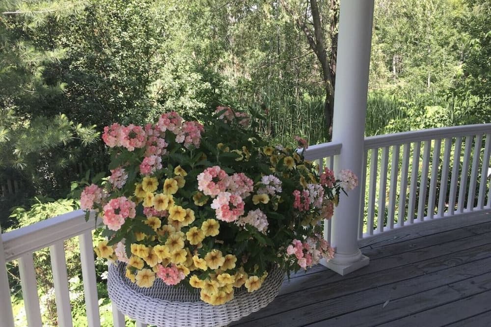 Photo of Patio Balcony in Williston North