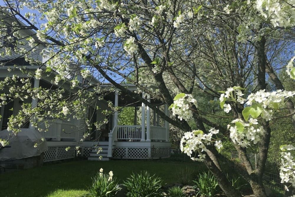Photo of Outdoor in Williston North