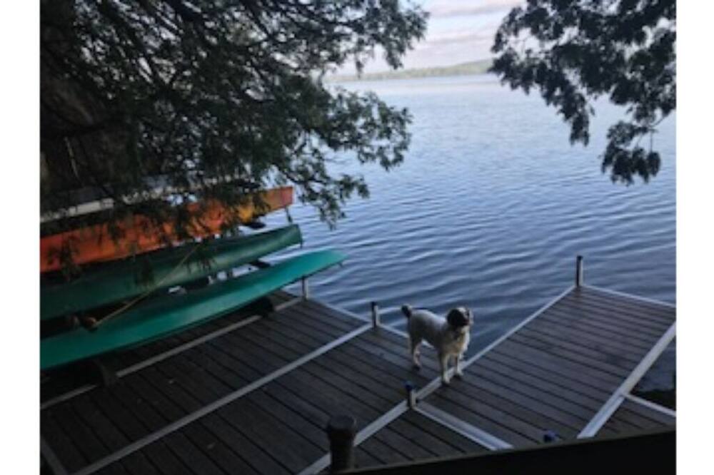Photo of Outdoor in South Hero