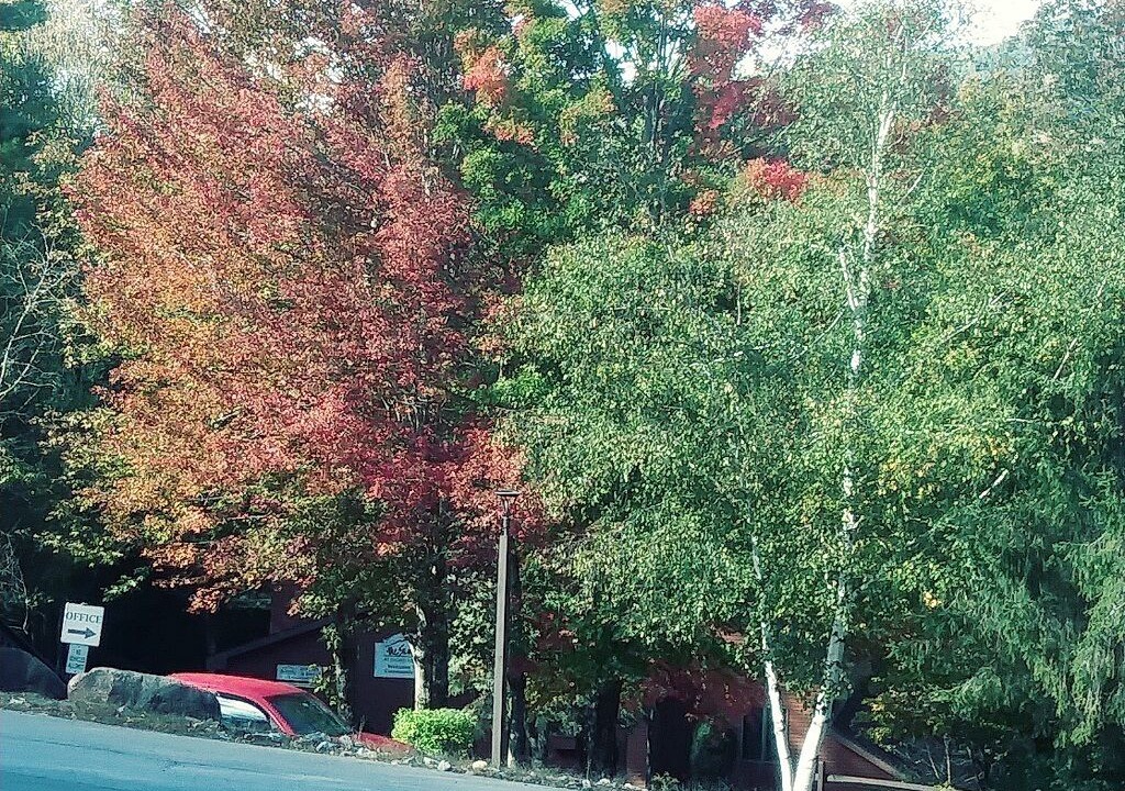 Photo of Outdoor in North Creek
