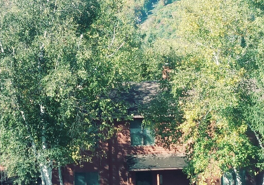 Photo of Others in North Creek