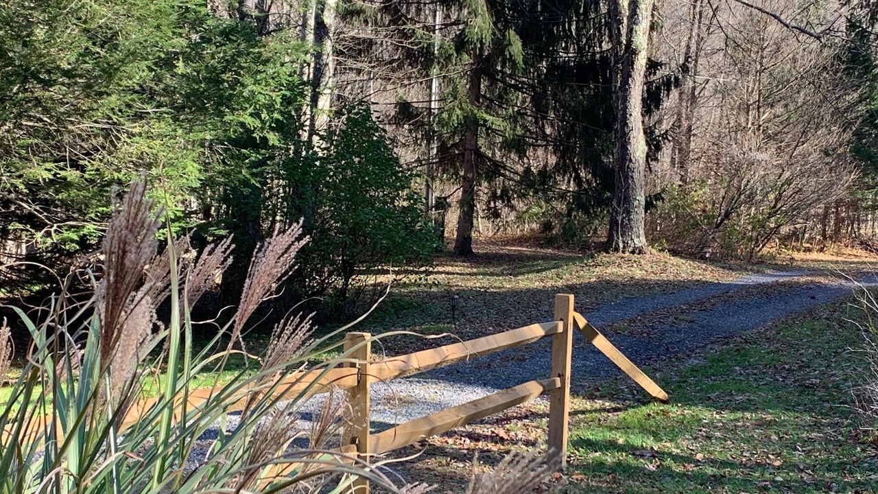 Photo of Outdoor in Oliverea