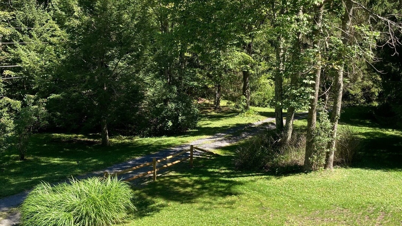 Photo of Outdoor in Oliverea