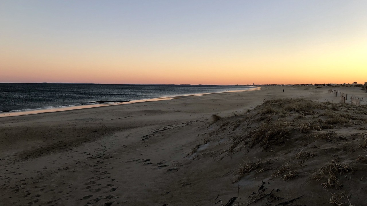 Photo of Others in Seabrook