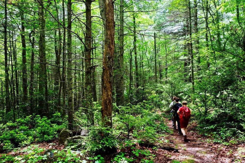 Photo of Outdoor in Criders