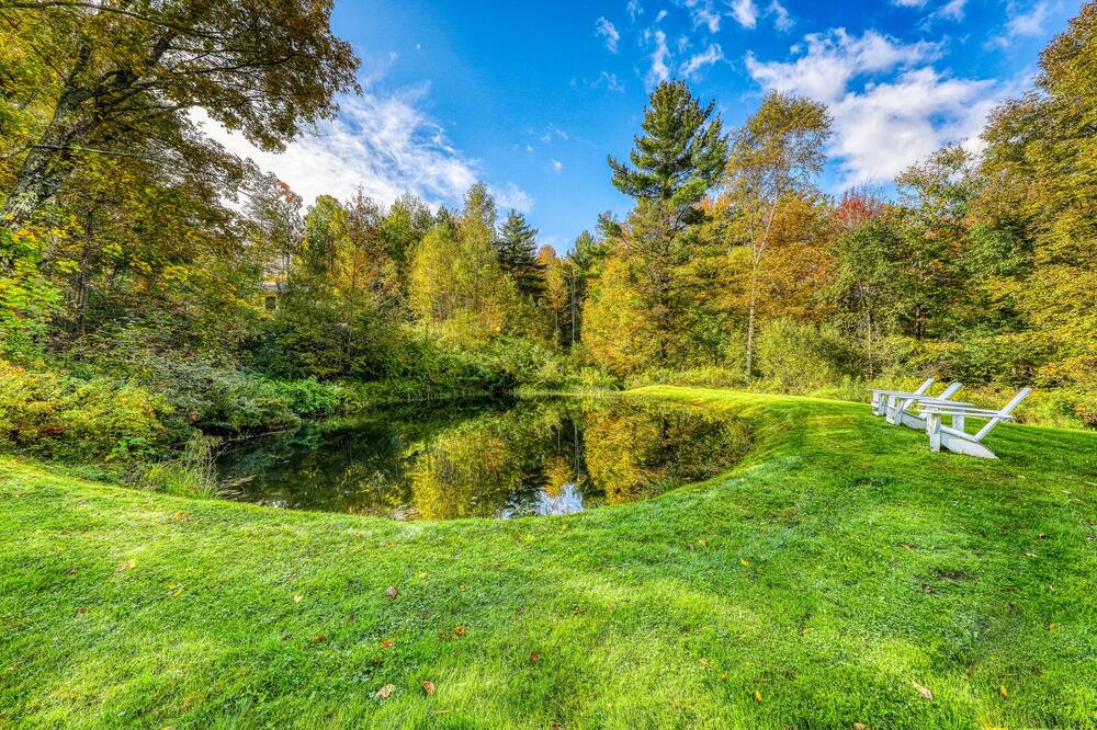 Photo of Others in Stowe Hollow