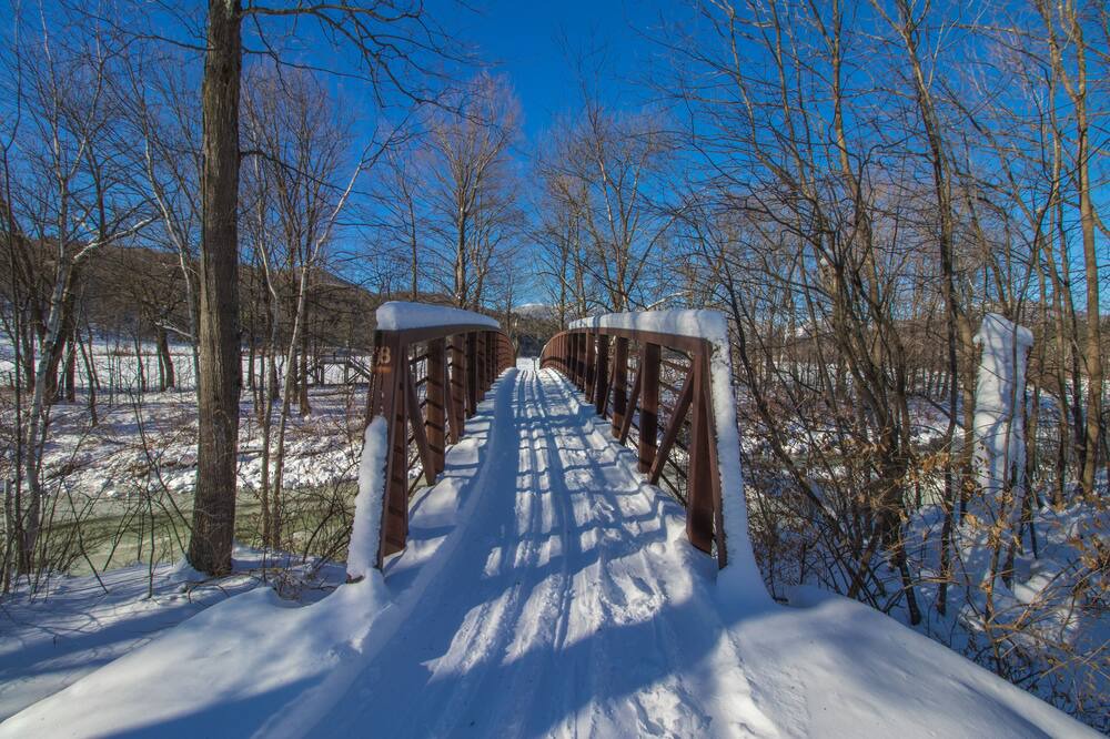 Photo of Others in Stowe Hollow