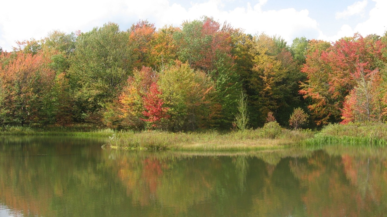 Photo of Outdoor in Great Valley