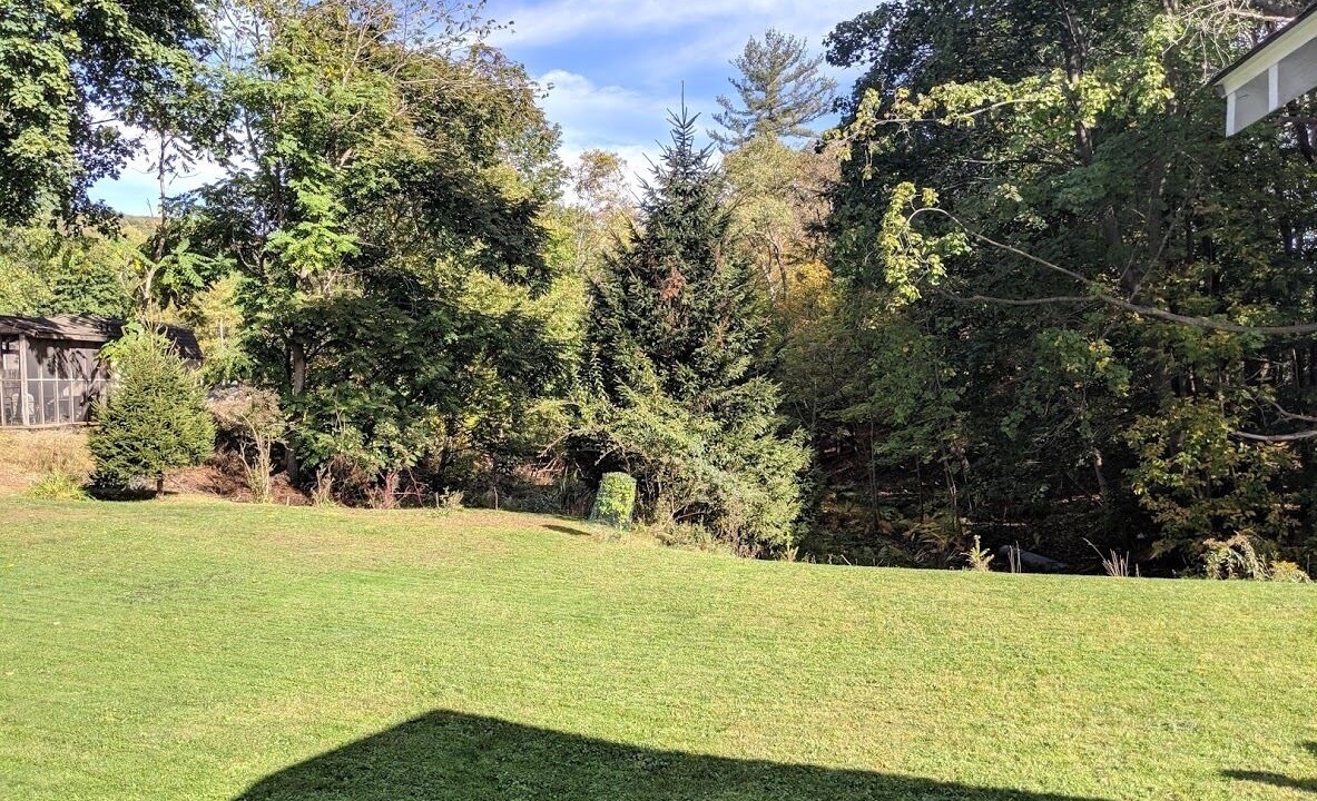 Photo of Outdoor in West End