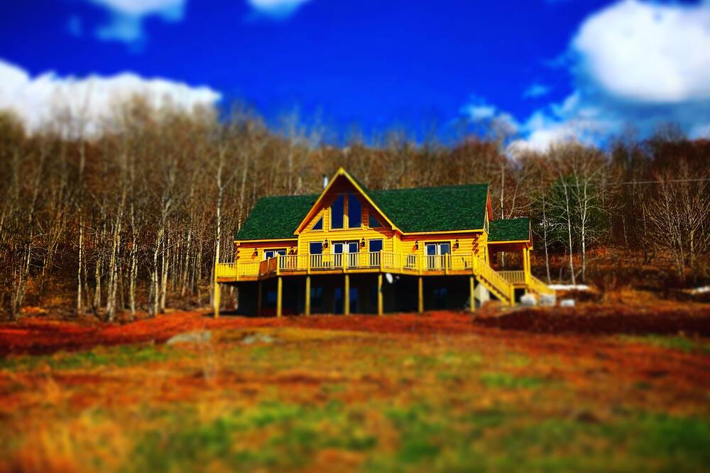 Photo of Outdoor in South Kortright