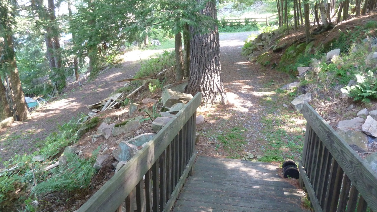 Photo of Outdoor in Redwood