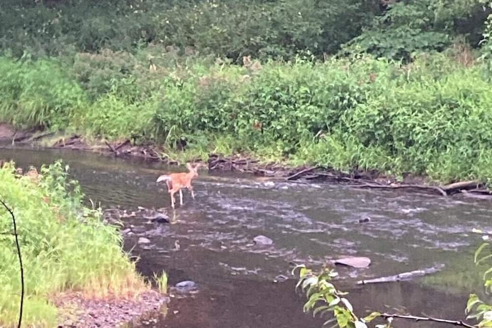 Photo of Others in Merrimack