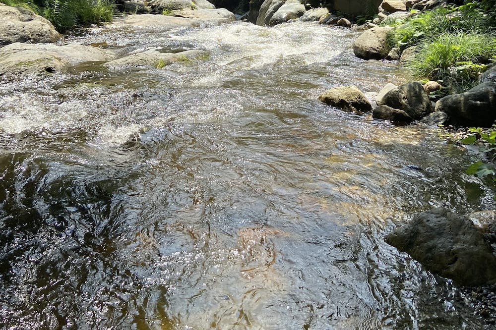 Photo of Outdoor in Morrisville