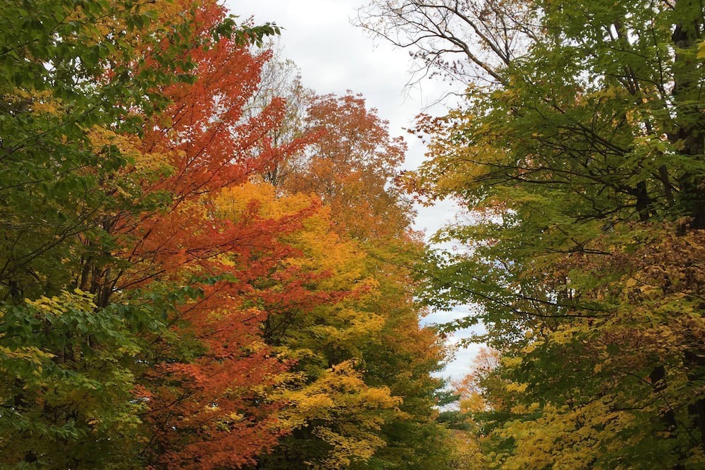 Photo of Outdoor in Morrisville