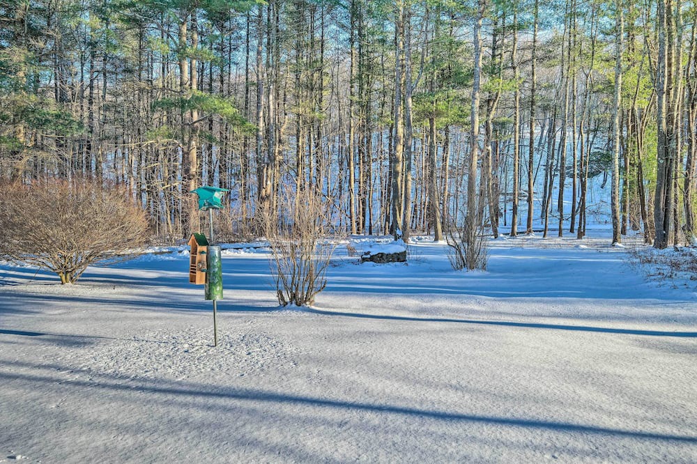 Photo of Others in Hollowville