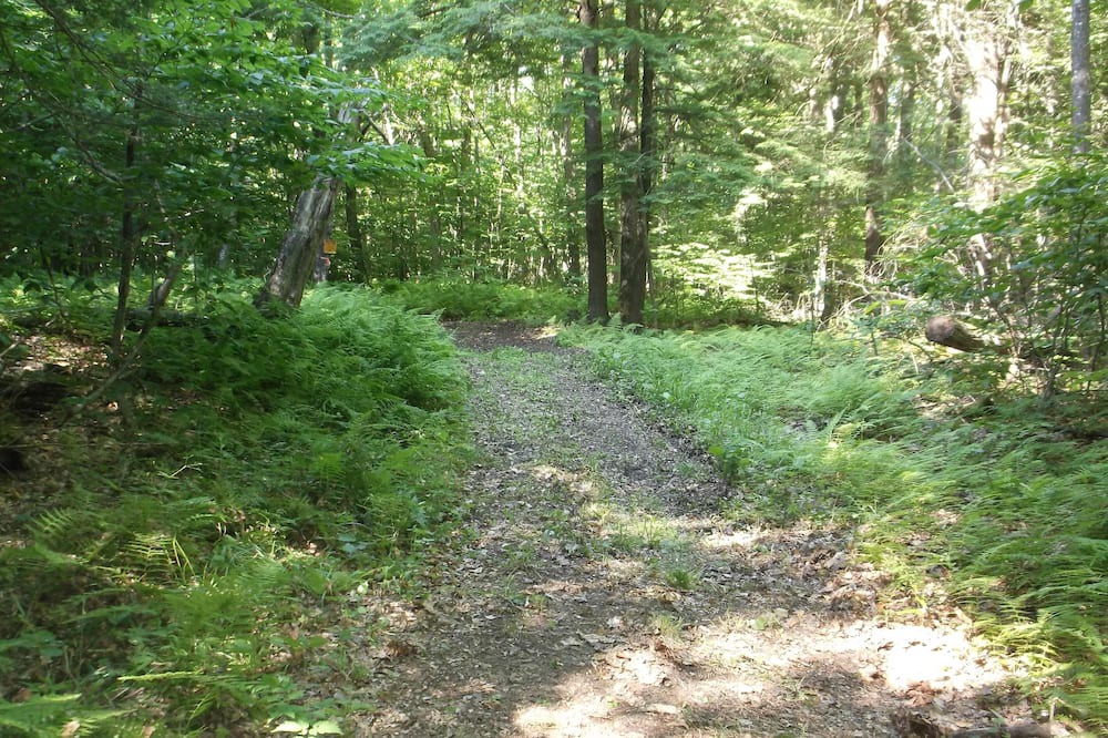 Photo of Others in Sloansville