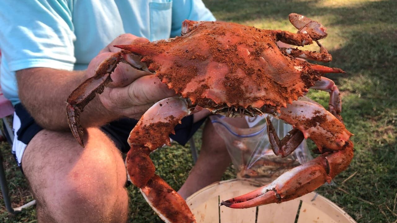 Photo of Others in Deltaville