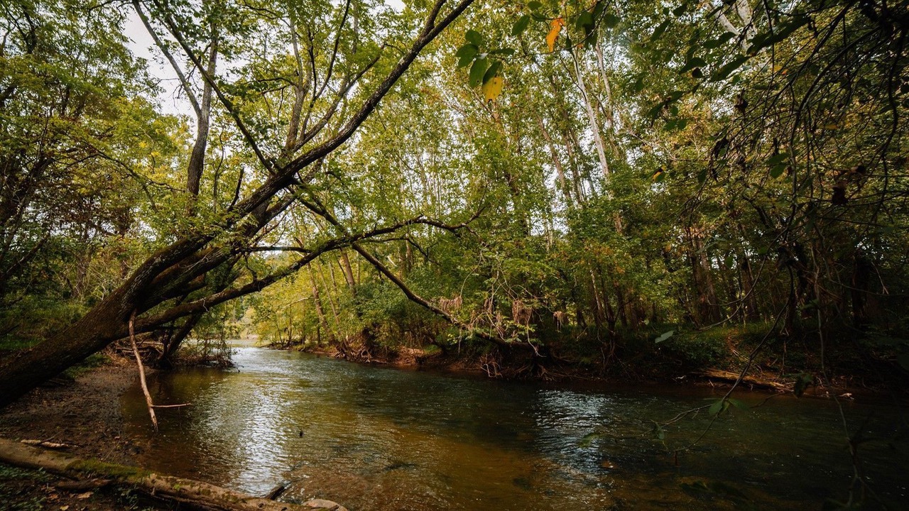 Photo of Outdoor in Allisonia
