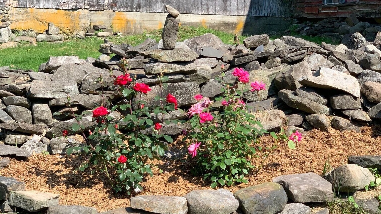 Photo of Outdoor in East Durham