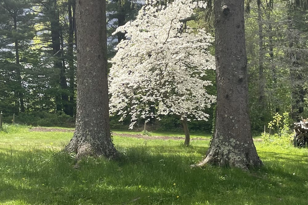 Photo of Outdoor in Chester