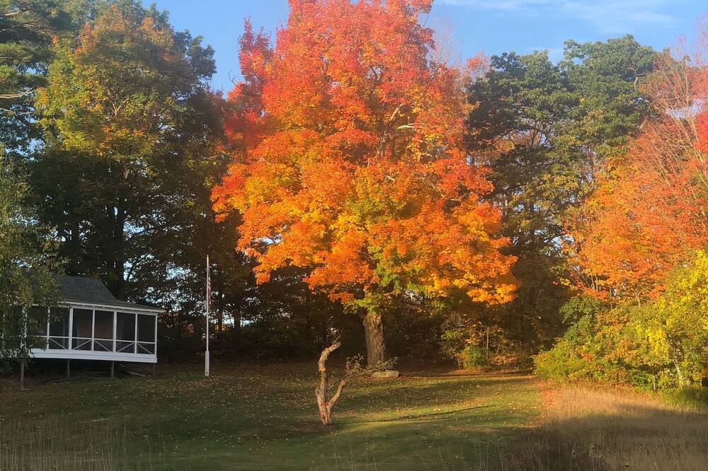 Photo of Outdoor in Chester
