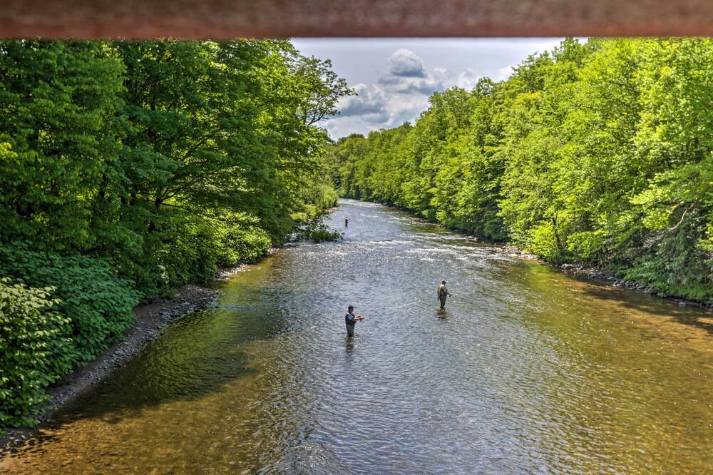Photo of Others in Livingston Manor