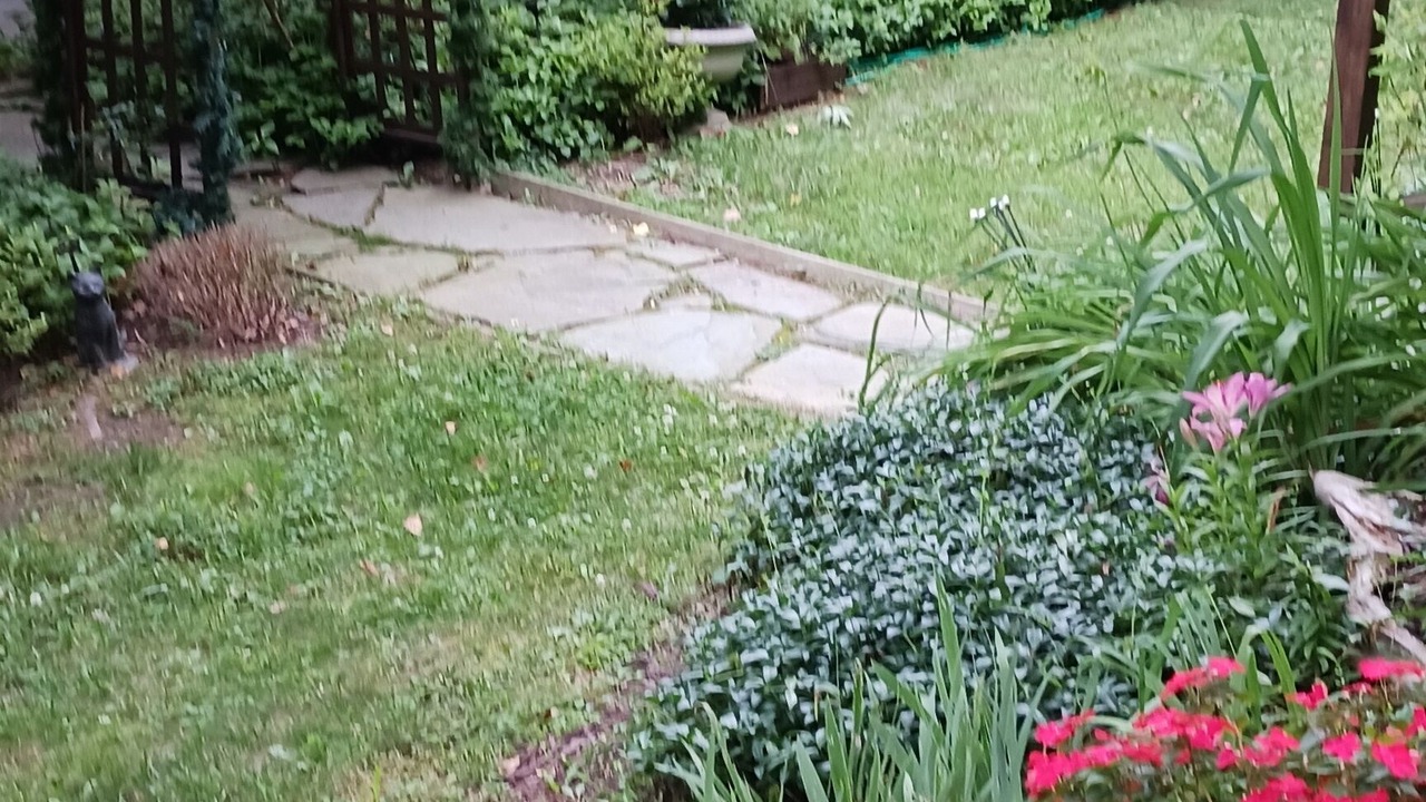 Photo of Outdoor in Staatsburg