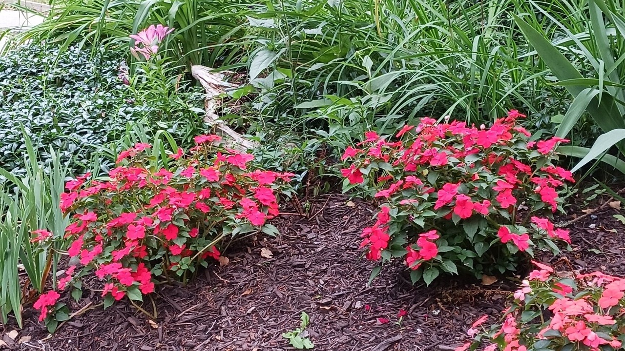 Photo of Outdoor in Staatsburg
