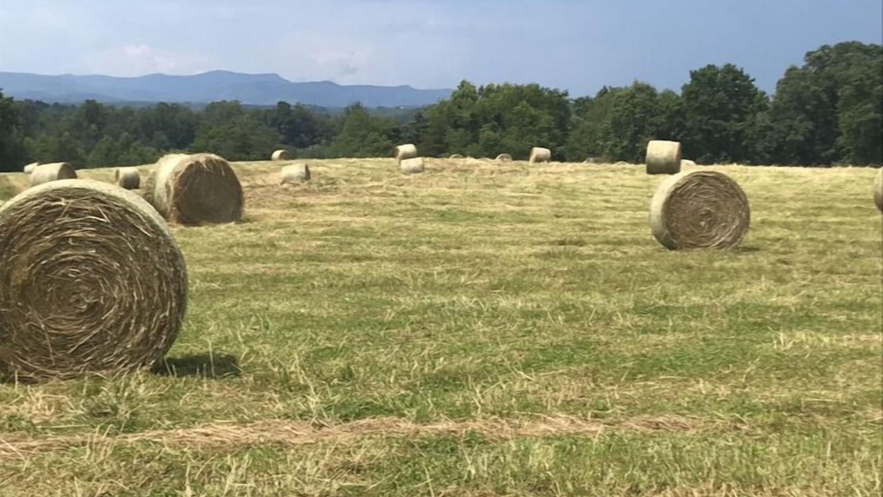 Photo of Outdoor in Elkin