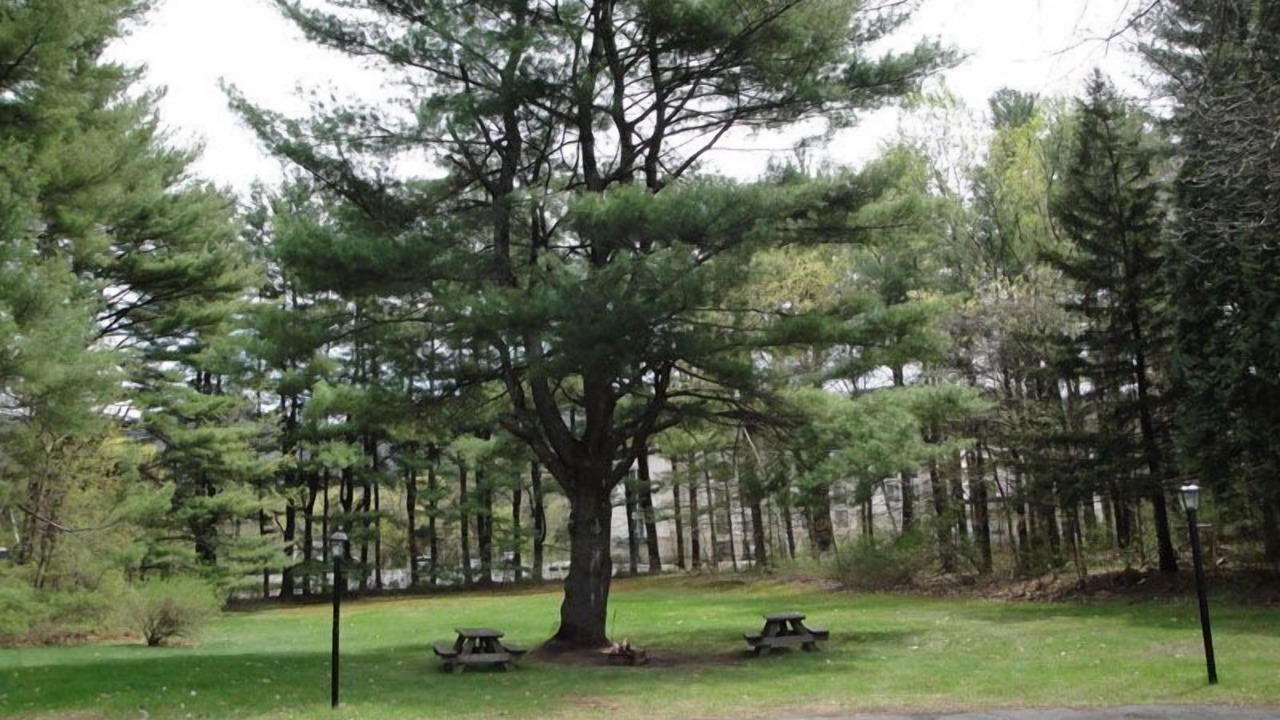 Photo of Outdoor in Lake George