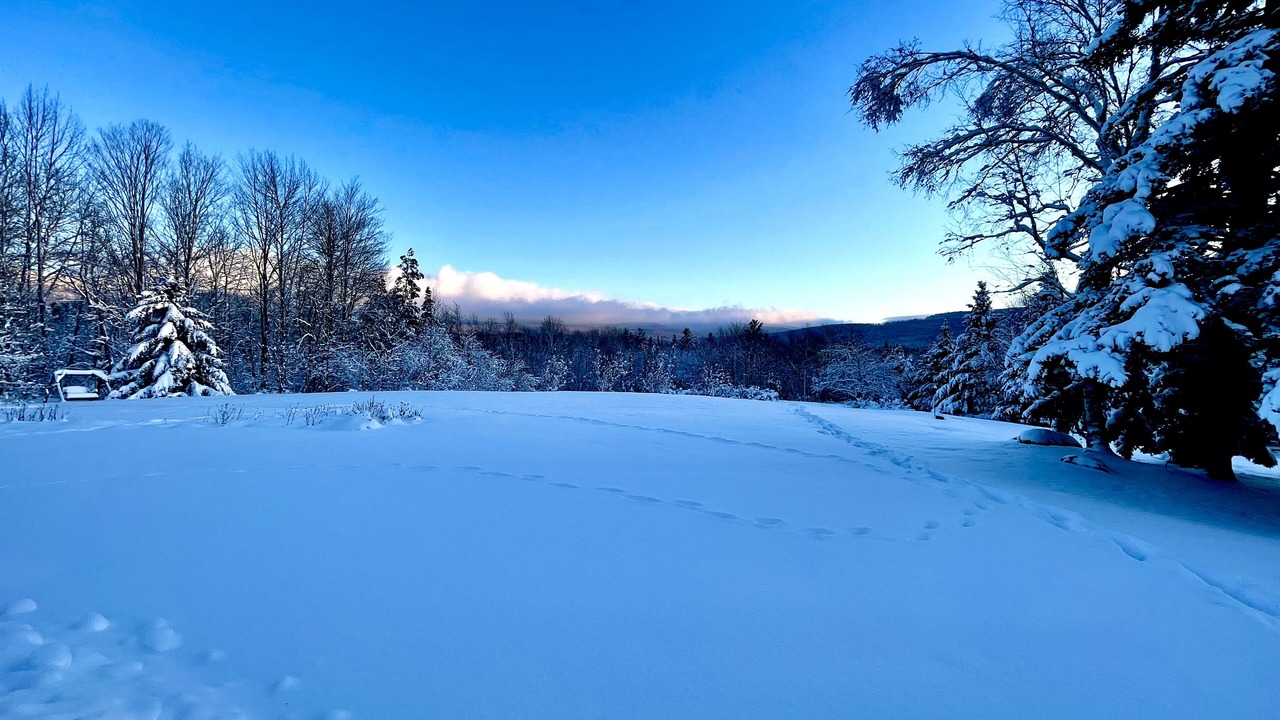 Photo of Outdoor in Mendon