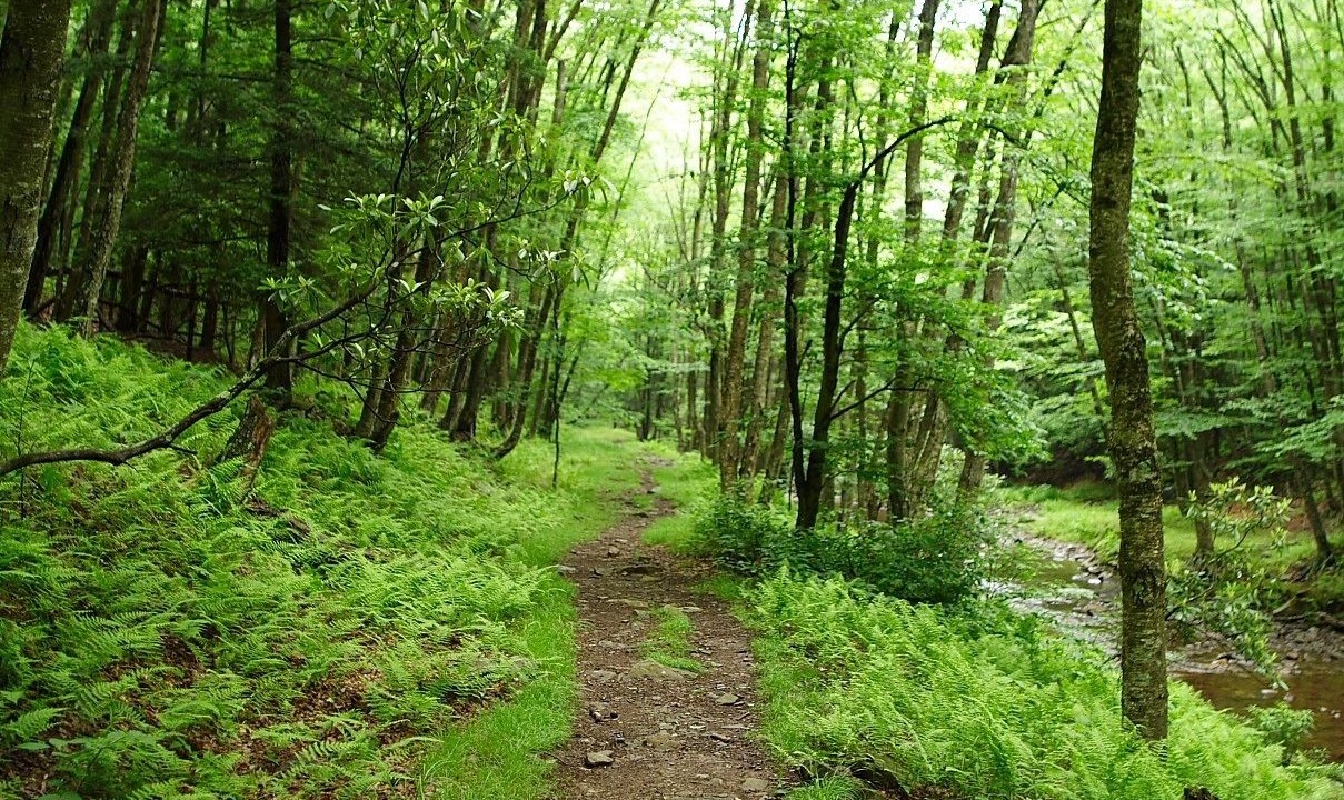 Photo of Outdoor in Mendon