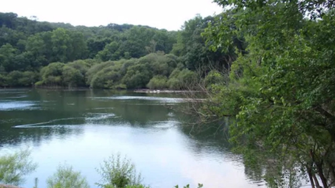 Photo of Outdoor in Centerport