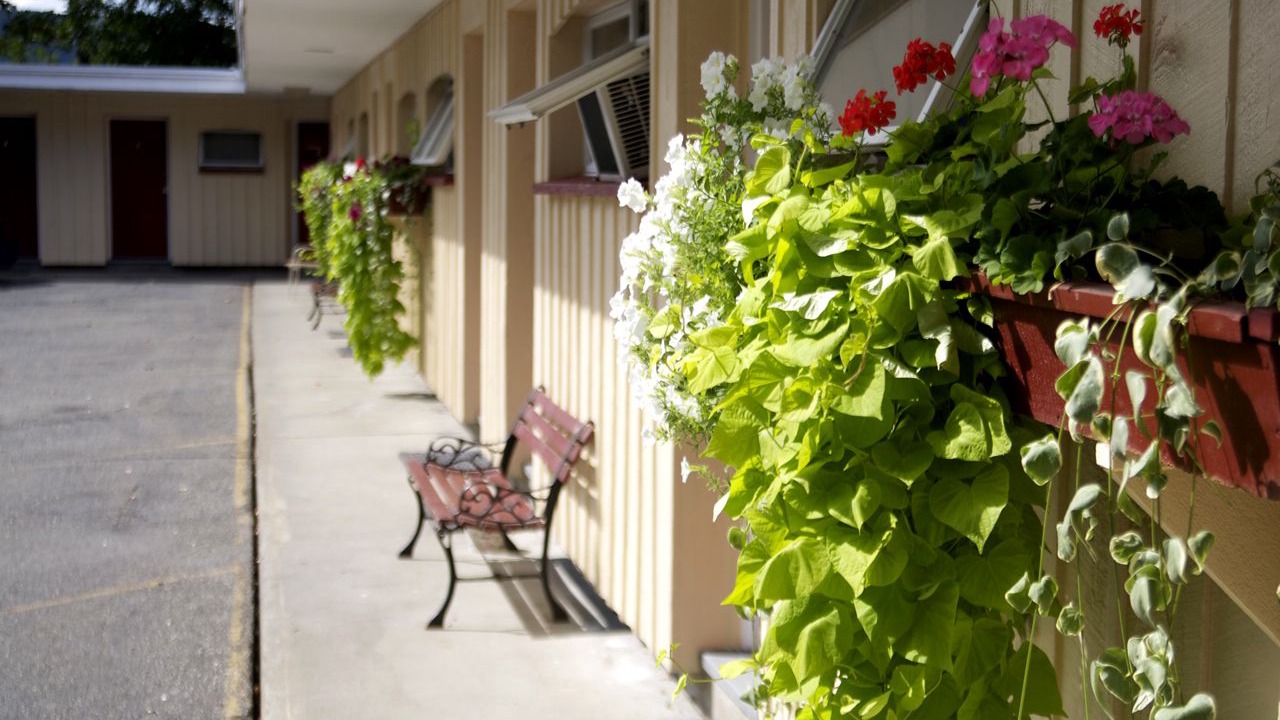 Photo of Outdoor in West Lebanon