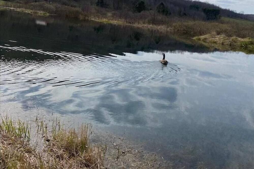 Photo of Others in Cooperstown - Otsego Lake
