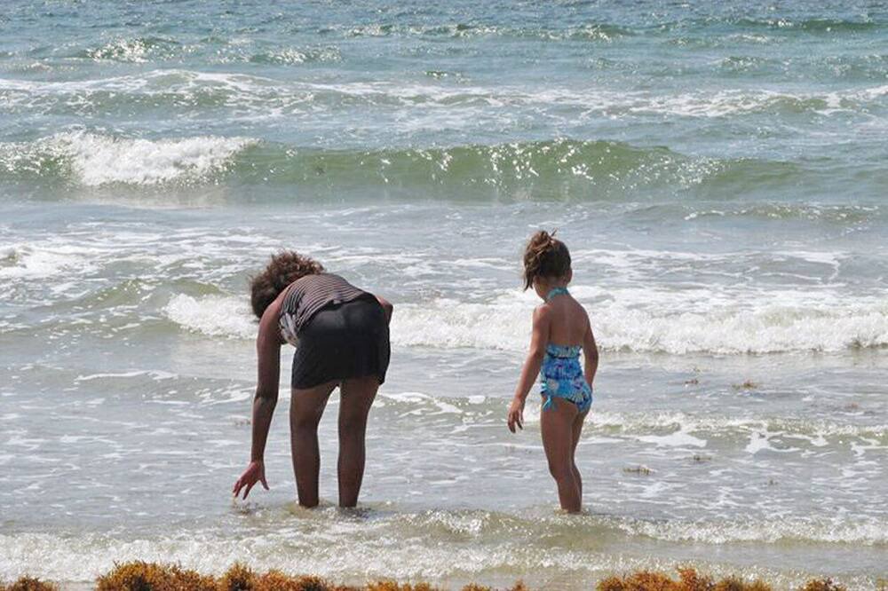 Photo of Others in Freeport