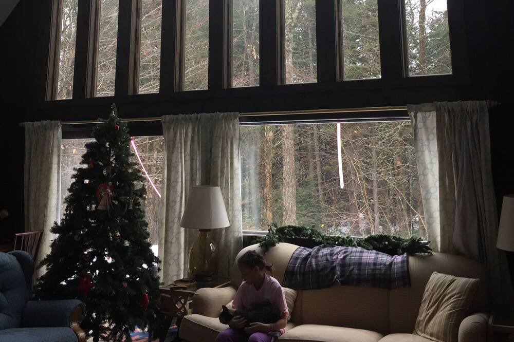 Photo of Livingroom in Londonderry