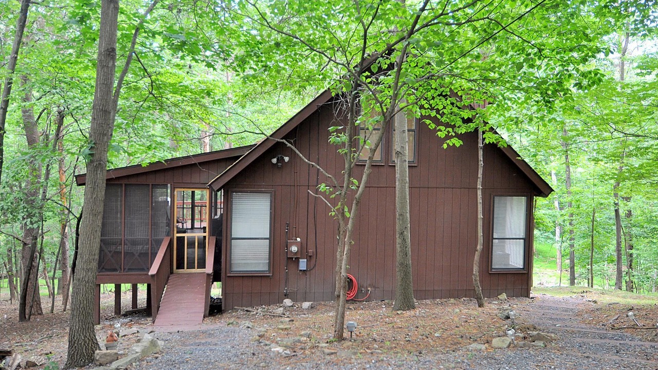 Photo of Buildings in The Woods
