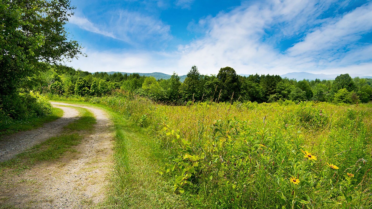 Photo of Outdoor in Bethel