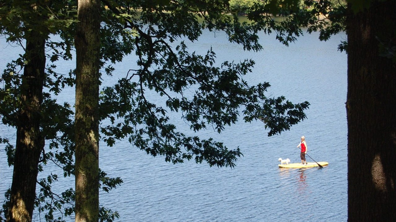 Photo of Others in Windham