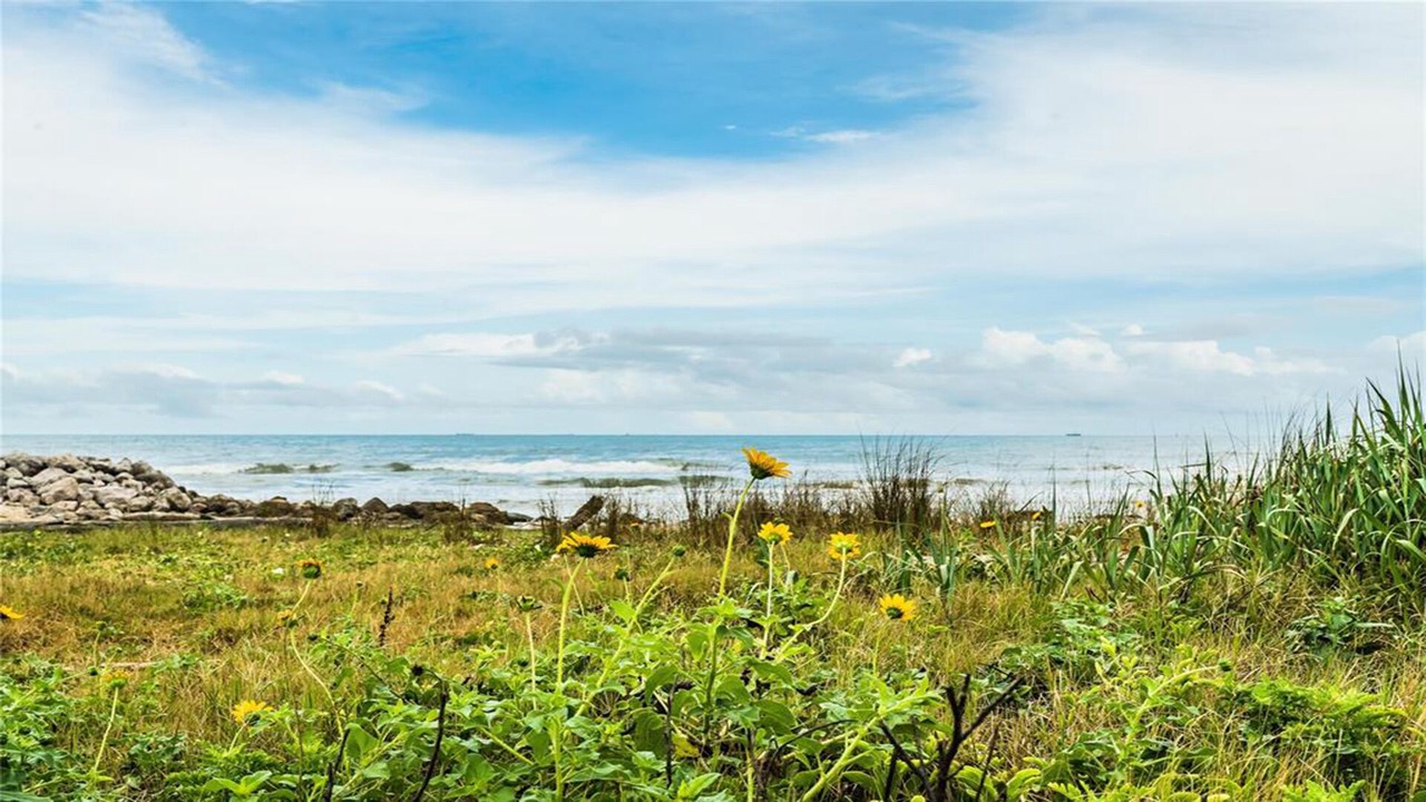 Photo of Others in Surfside Beach