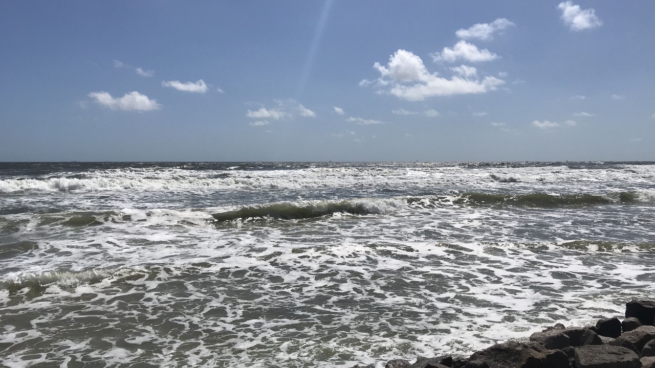 Photo of Others in Surfside Beach