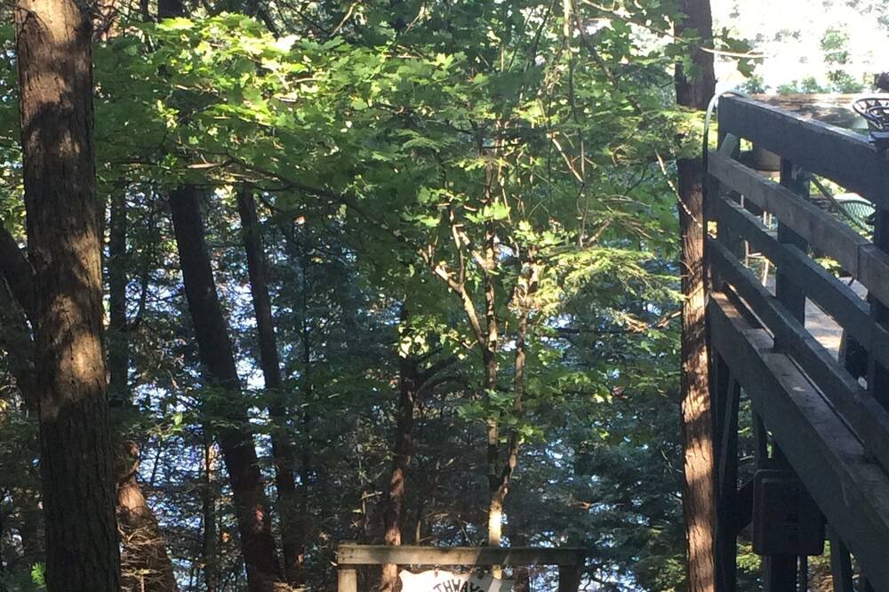 Photo of Outdoor in Charlotte