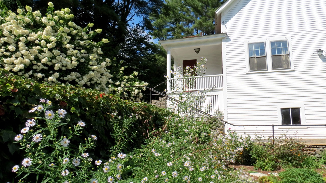 Photo of Outdoor in Newport