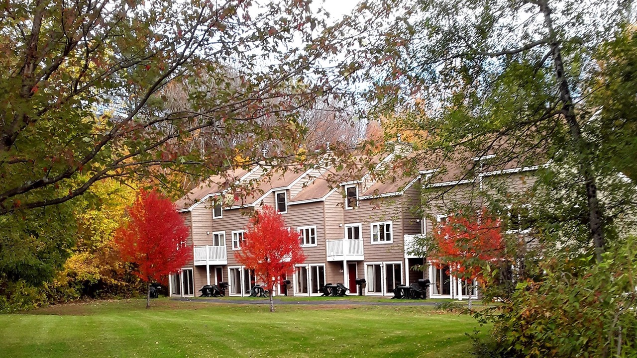 Photo of Outdoor in Intervale