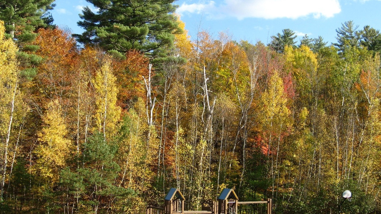 Photo of Others in Intervale