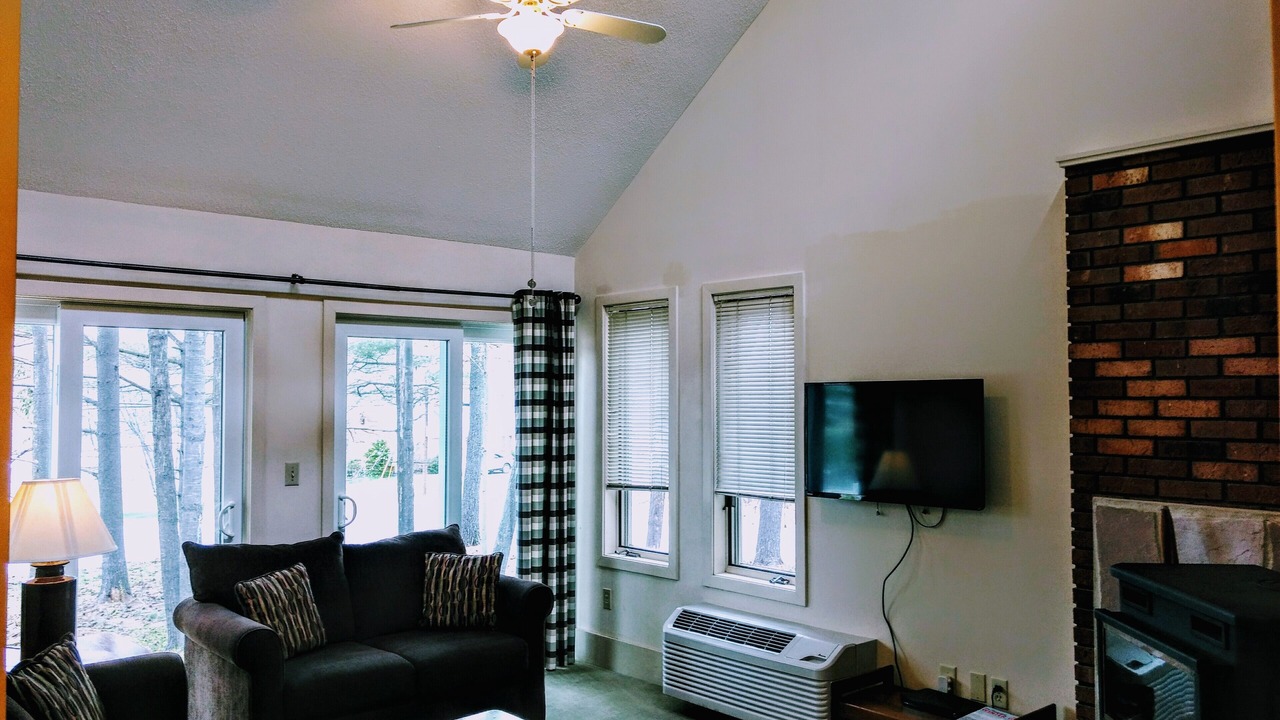 Photo of Livingroom in Intervale