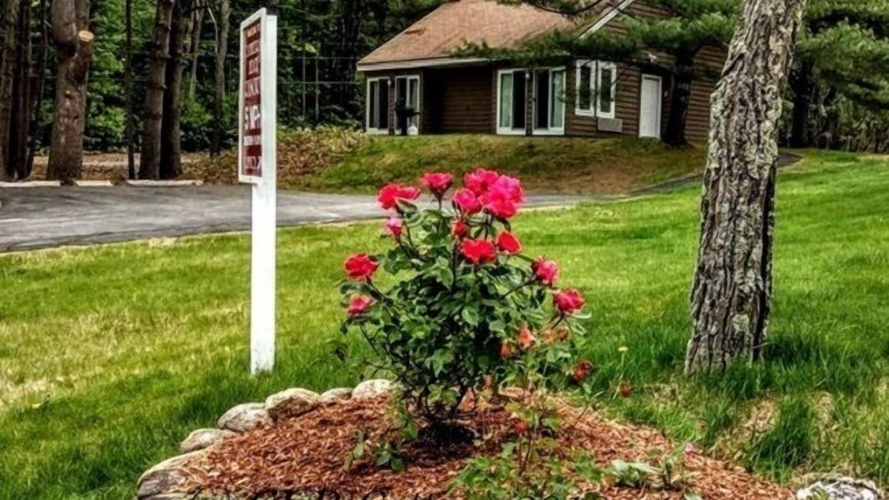 Photo of Outdoor in Intervale