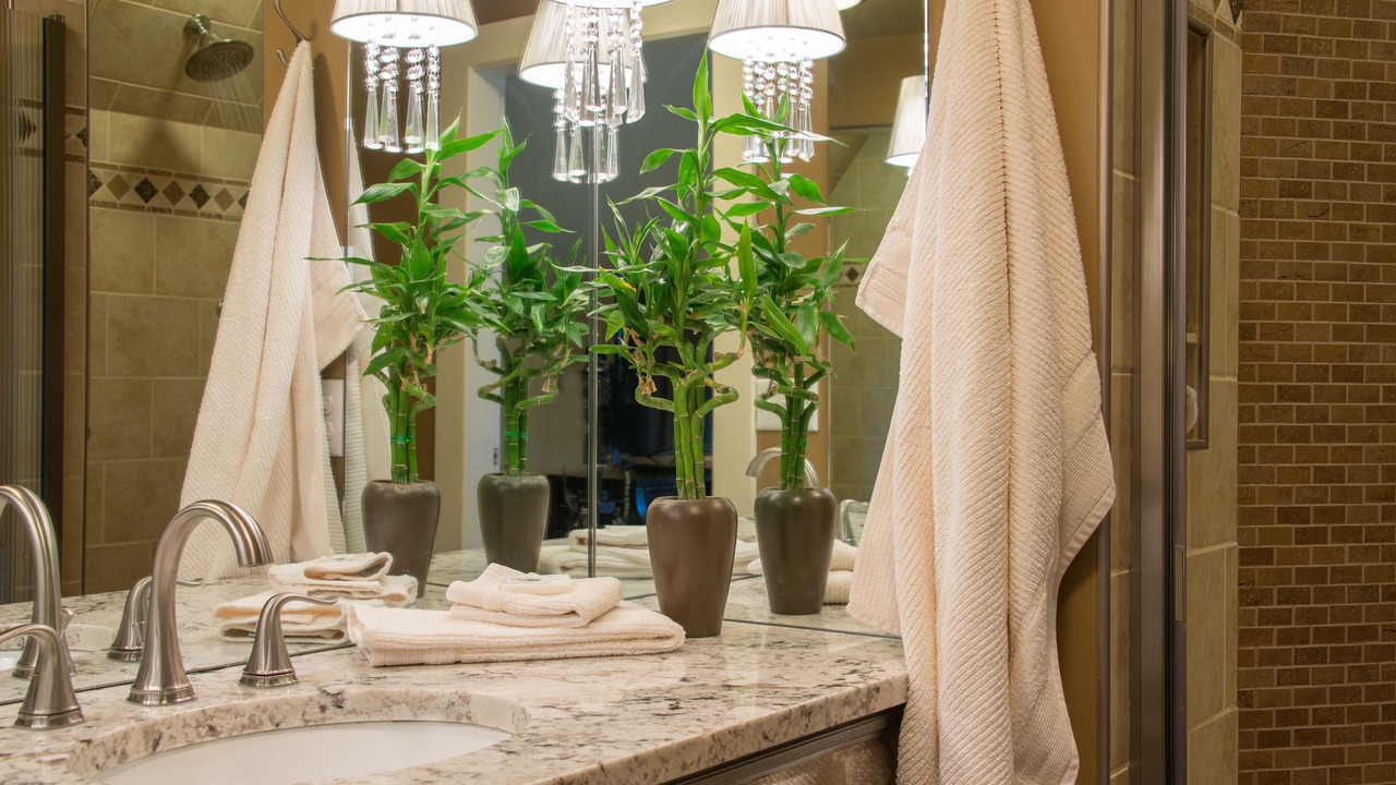 Photo of Bathroom in Trumansburg